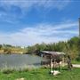Historic Hidalgo District Fishing Lake