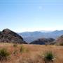 Cibolo Creek Ranch