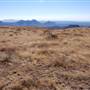 Cibolo Creek Ranch
