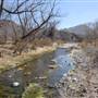 Cibolo Creek Ranch
