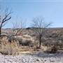 Cibolo Creek Ranch