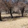 Cibolo Creek Ranch
