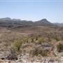 Cibolo Creek Ranch