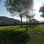 Tom Lea Upper Park