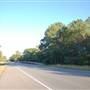 HWY 21 (East of Bastrop)