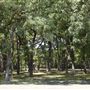 Bear Creek Nature Park