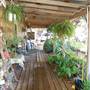 Grandma's House Nursery & Florist