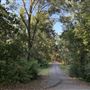 Flournoy Farm