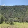 Hess Property