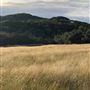Double T Ranch