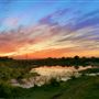 Tipton Ranch