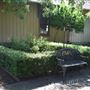 Rose Garden & Historic Market Depot