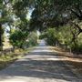 Jones Road