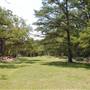 Blue Hole Regional Park