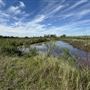 Baytown Nature Center