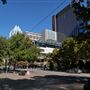 Austin