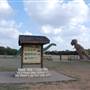 Dinosaur Valley State Park