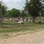Trinity Lutheran Cemetery