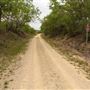 El Camino Real Hike & Bike Trail - Bridge