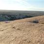 Enchanted Rock State Natural Area