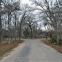 Palmetto State Park