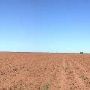 Fields on Hwy 385