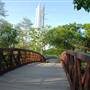 Hike & Bike Trail at Lady Bird Lake