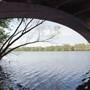 Hike & Bike Trail at Lady Bird Lake