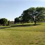 Zilker Metropolitan Park