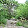 Phil Hardberger Park