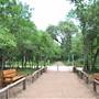 Phil Hardberger Park