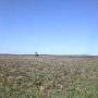 Oil Pump Jacks off Hwy 385