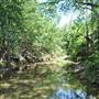 McKinney Falls State Park