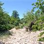McKinney Falls State Park