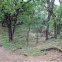 McAllister Park