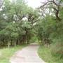 McAllister Park