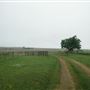 Maeshill Farm