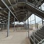 Rio Grande Valley Livestock Show Grounds Rodeo Arena