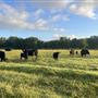 Evans Ranch