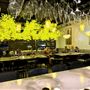 Palate by LRC