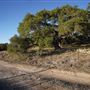 Four Winns Ranch