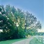 Sky Creek Farm