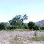 CF Ranch