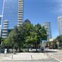 Flora Street