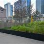 Lynn Wyatt Square for the Performing Arts (LWS)