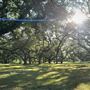 The Oaks of Anahuac