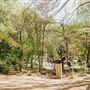 UMLAUF Sculpture Garden and Museum