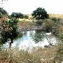 Enchanted Springs Ranch