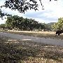 Enchanted Springs Ranch