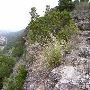 Covert Park at Mt. Bonnell